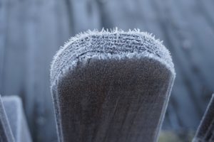 fence during winter