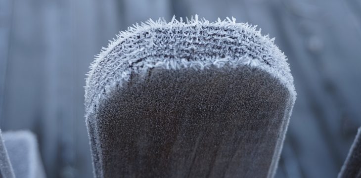 fence during winter