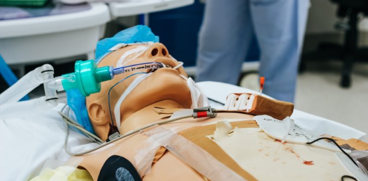simulation
